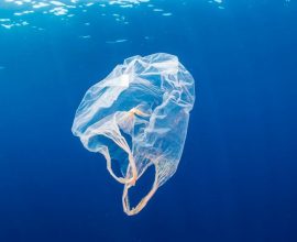  Δήμος Κέας: 10+1 Εύκολοι τρόποι για να μειωθεί το πλαστικό μίας χρήσης
